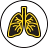 rsv-lung-icon
